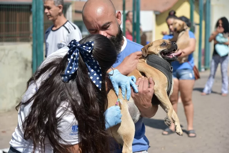 Contagem promove Semana D de vacinação contra a raiva para cães e gatos