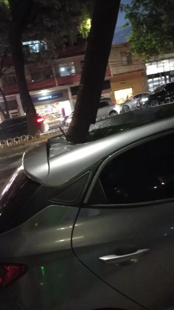 Queda de árvore atinge carro na Avenida Afonso Pena em BH