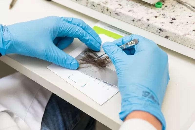 Câmara de BH aprova exame toxicológico para futuros servidores públicos
