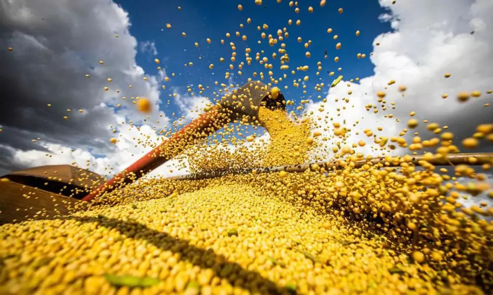 Safra brasileira de grãos deve atingir novo recorde e produção prevista é 2,4% maior que a do ciclo anterior