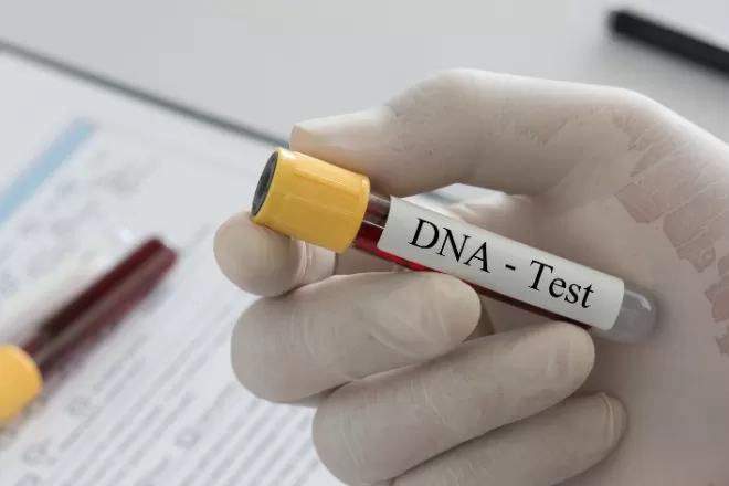 Campanha coleta DNA de familiares de desaparecidos em 334 pontos no Brasil; veja como participar