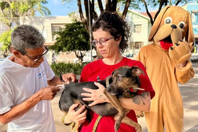 Vacinação contra raiva continua em Belo Horizonte após Dia D