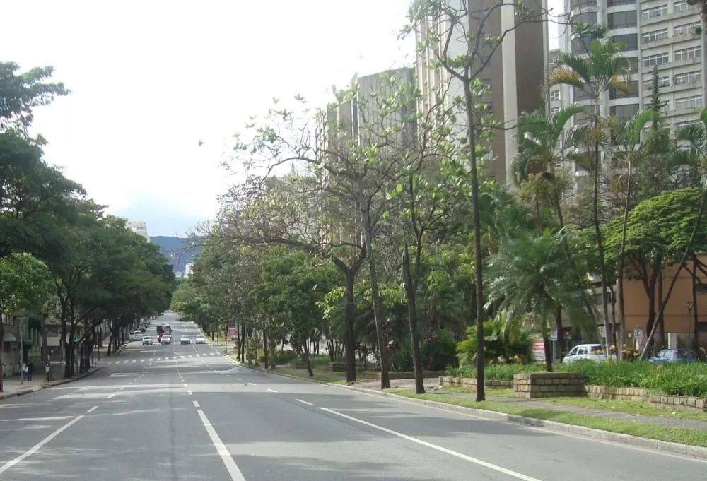 Avenida Afonso Pena ganha faixas exclusivas e preferenciais para ônibus