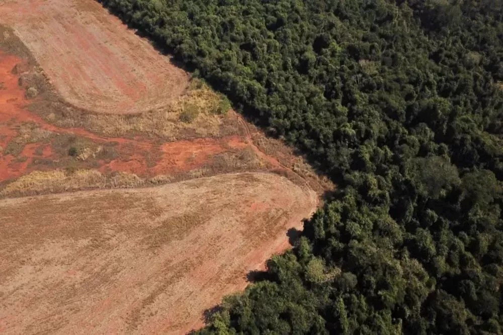 Brasil é cobrado a transformar promessa de restauração de terras em ações concretas após COP17