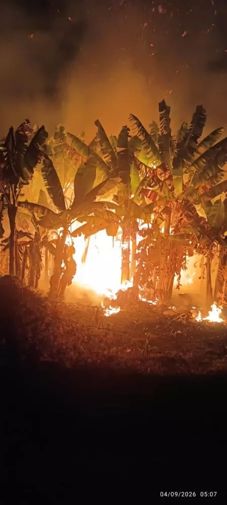 Bombeiros combatem incêndio por quase nove horas consecutivas em uma plantação de bananas