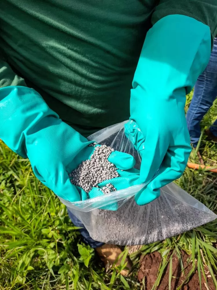 Governo sanciona programa de incentivo à indústria nacional de fertilizantes