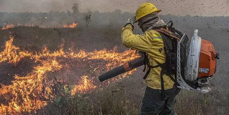 Câmara de BH aprova política para prevenção e combate a incêndios florestais