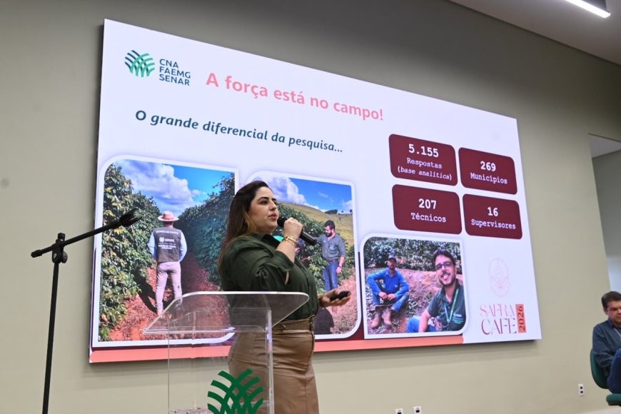 Safra de café em Minas Gerais deve alcançar 33,4 milhões de sacas em 2026