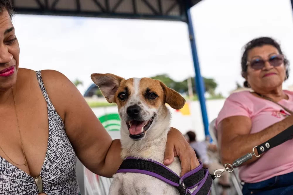 Contagem abre inscrições para novo mutirão de castração na região Ressaca