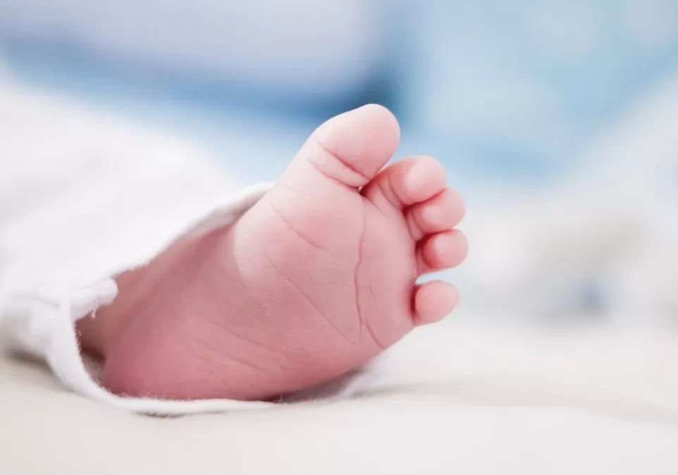 TJMG mantém condenação de hospital por falha no acompanhamento oftalmológico de bebê
