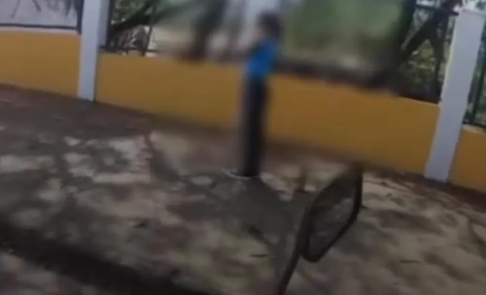 Menina de 12 anos fica internada em CTI após ataque de abelhas em Ibirité; veja o vídeo