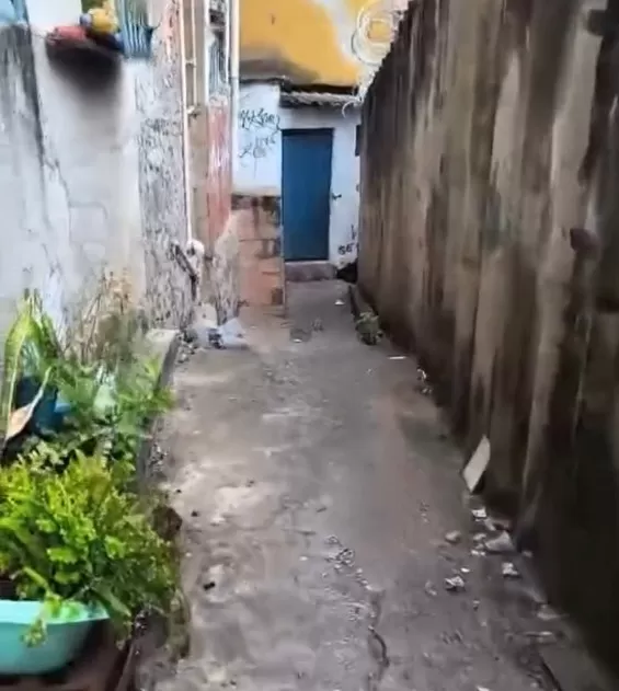 Moradores denunciam escadas danificadas e rachaduras em passagem no bairro Boa Vista, em BH