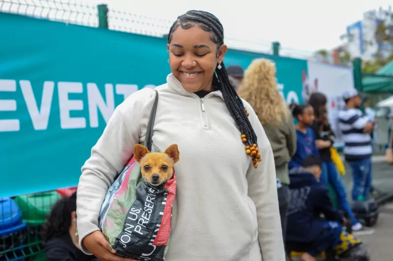 Betim amplia ações de proteção animal com castração, atendimento e adoção