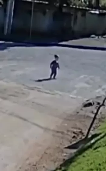 Reprodução: Internet