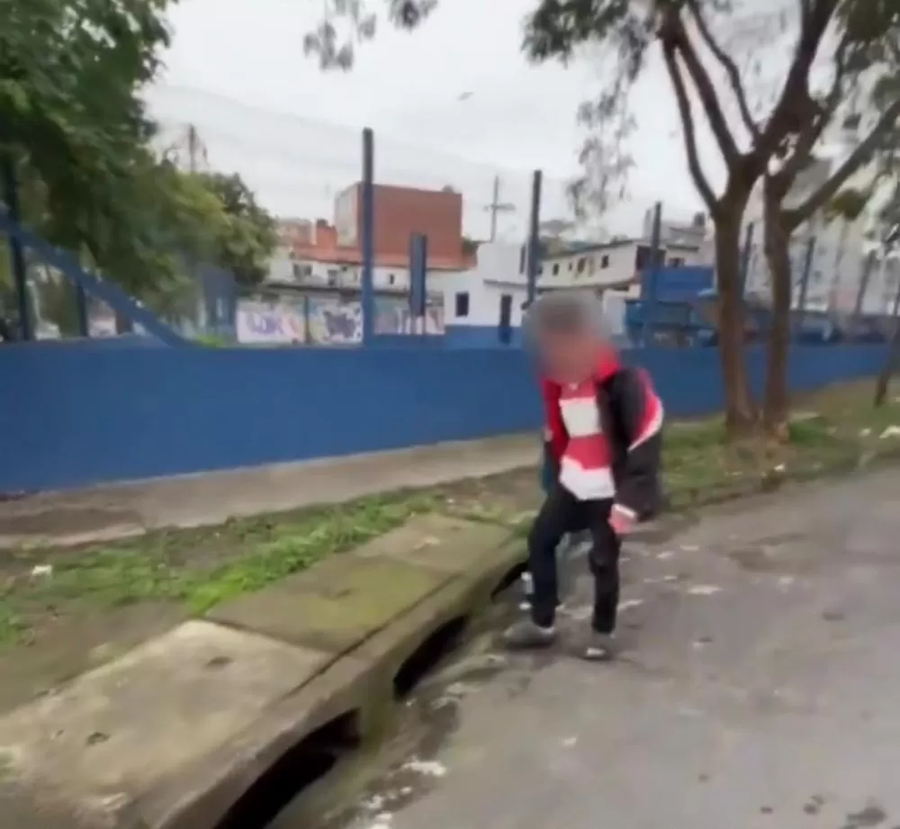 Reprodução
