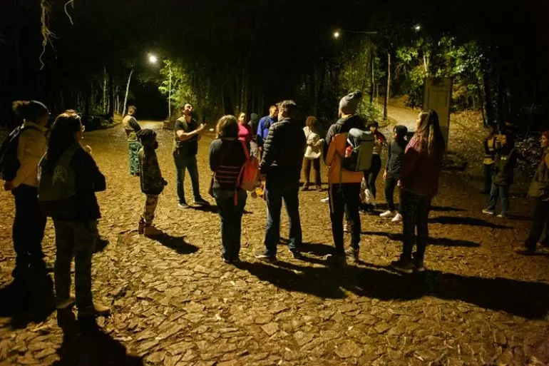 Trilha noturna gratuita no Parque das Mangabeiras vai explorar hábitos de anfíbios