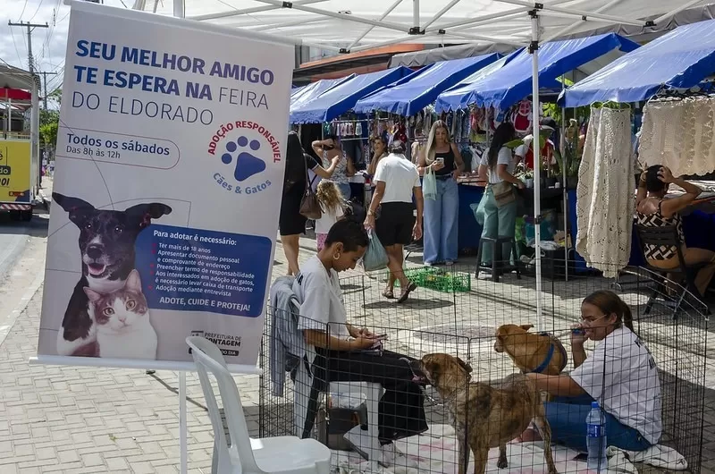 Feira no Eldorado oferece cães e gatos para adoção neste sábado