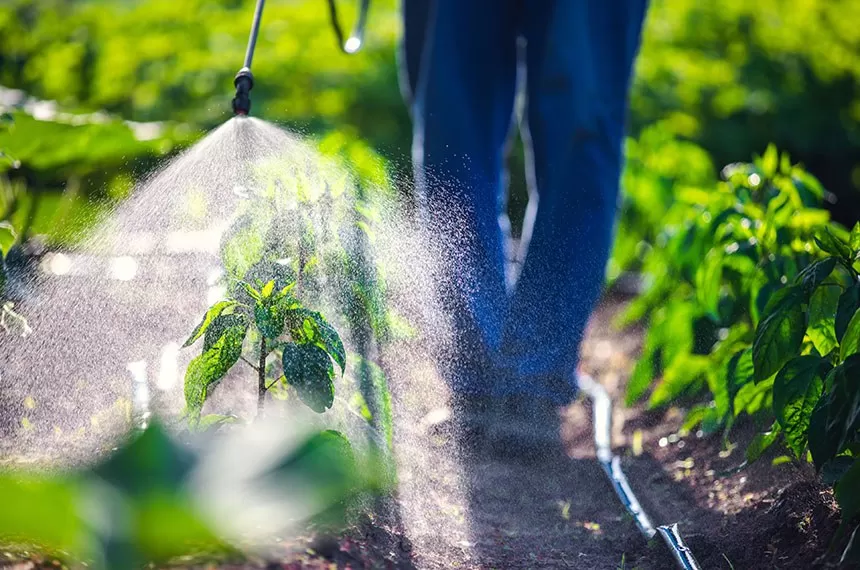 Brasil é o 2º maior importador de agrotóxicos proibidos na União Europeia, aponta relatório