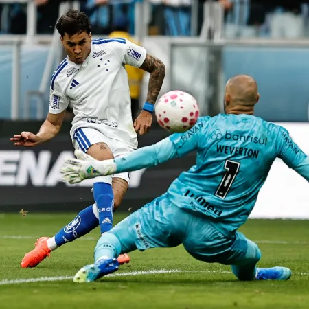 Roberto Vinícius | AGIF