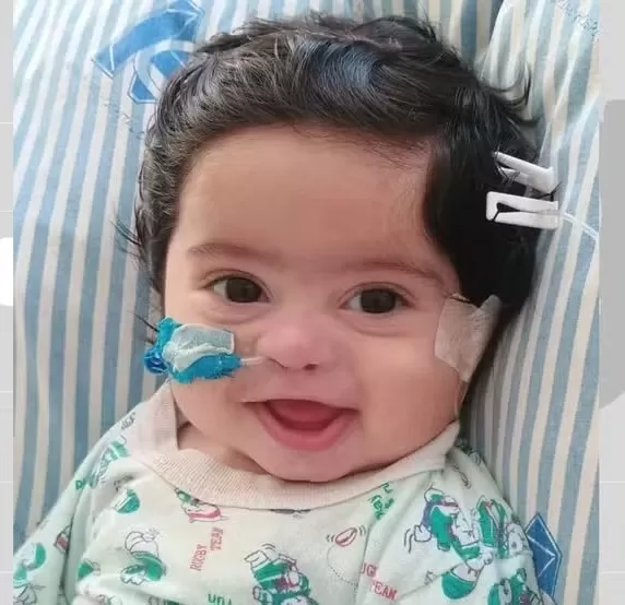 Reprodução/Whatsapp