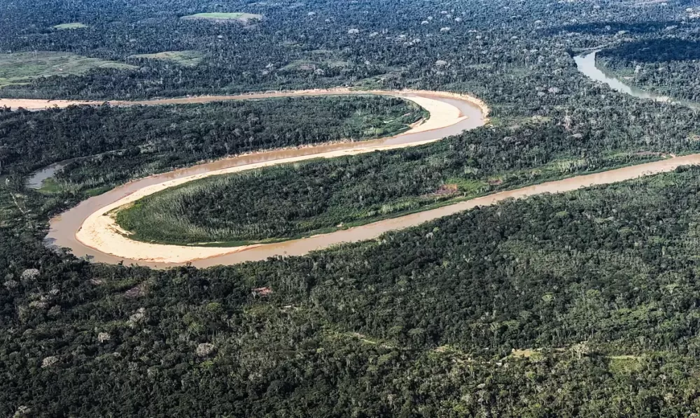 Holanda anuncia investimento de US$ 500 milhões em fundo florestal criado pelo Brasil