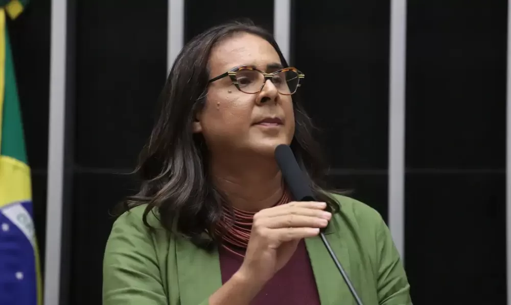 Polícia Civil prende suspeito de agredir deputada Duda Salabert e assessor em Minas