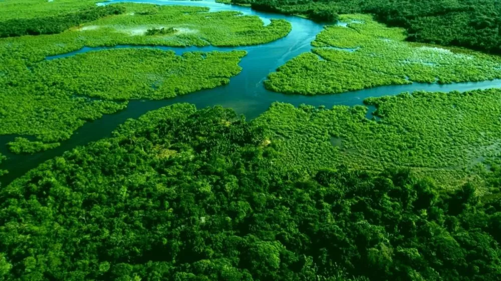 Mata Atlântica