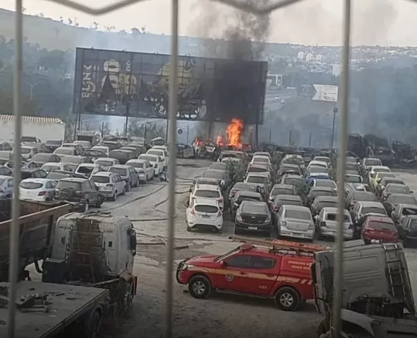 Foto: Divulgação