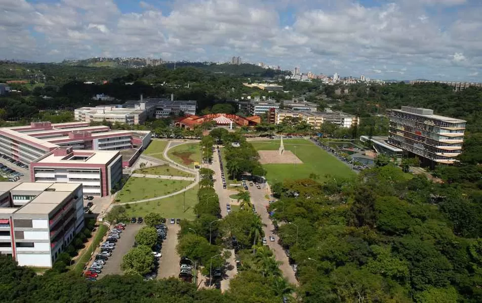 UFMG aprova apenas brancos em concurso para negros e vai refazer processo