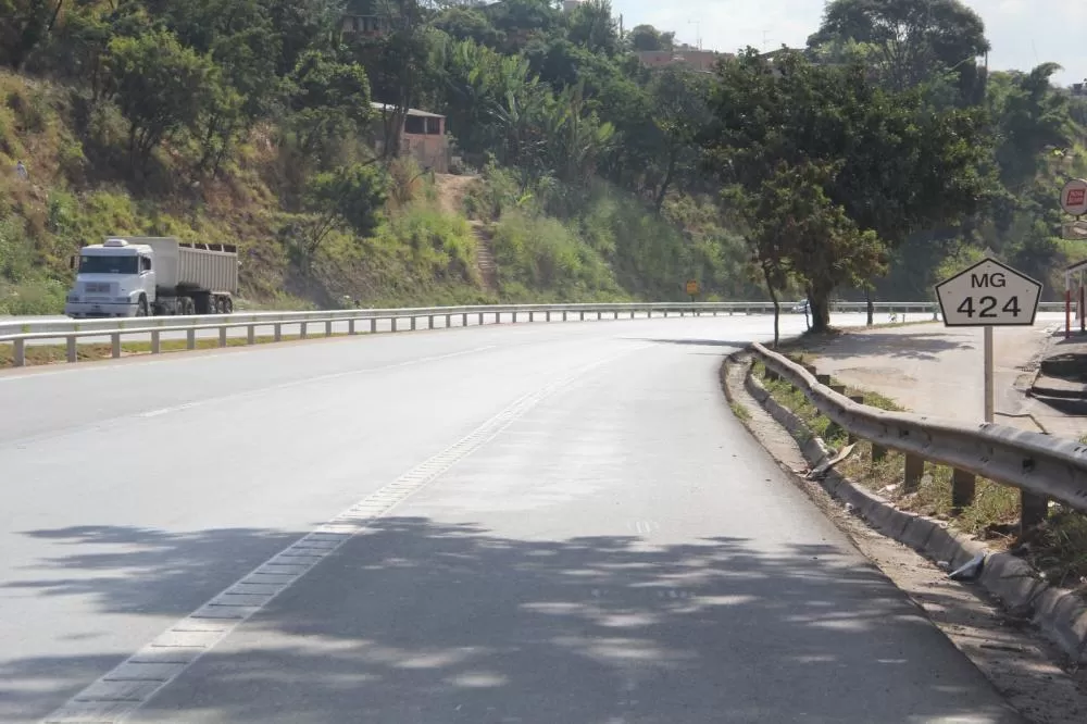 Rodovia MG-424 é a campeã em acidentes que envolvem animais em Minas Gerais