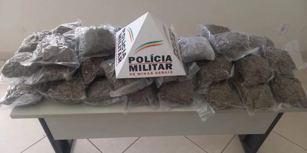 “SuperMaconha” encontrada em Minas é avaliada em meio milhão de reais