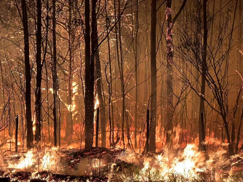 Incêndios florestais levam Santana do Riacho a decretar estado de emergência
