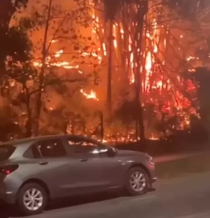 Incêndio em bambuzal atinge área atrás do mineirinho e exige 10 mil litros de água para controle