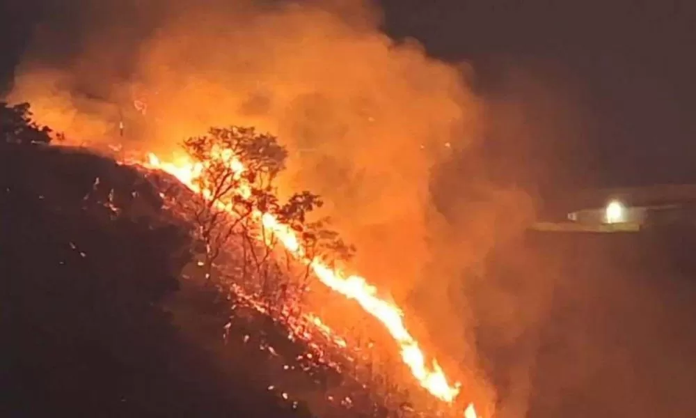 Incêndio atinge vegetação em BH, na Raja Gabaglia e há risco para imóveis