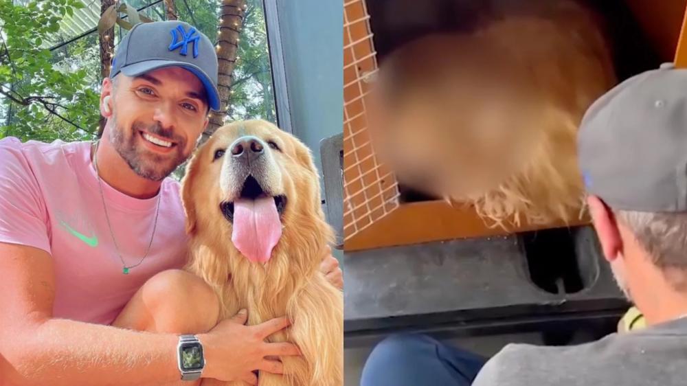 GOL suspende transporte de animais no porão dos aviões após morte de cachorro