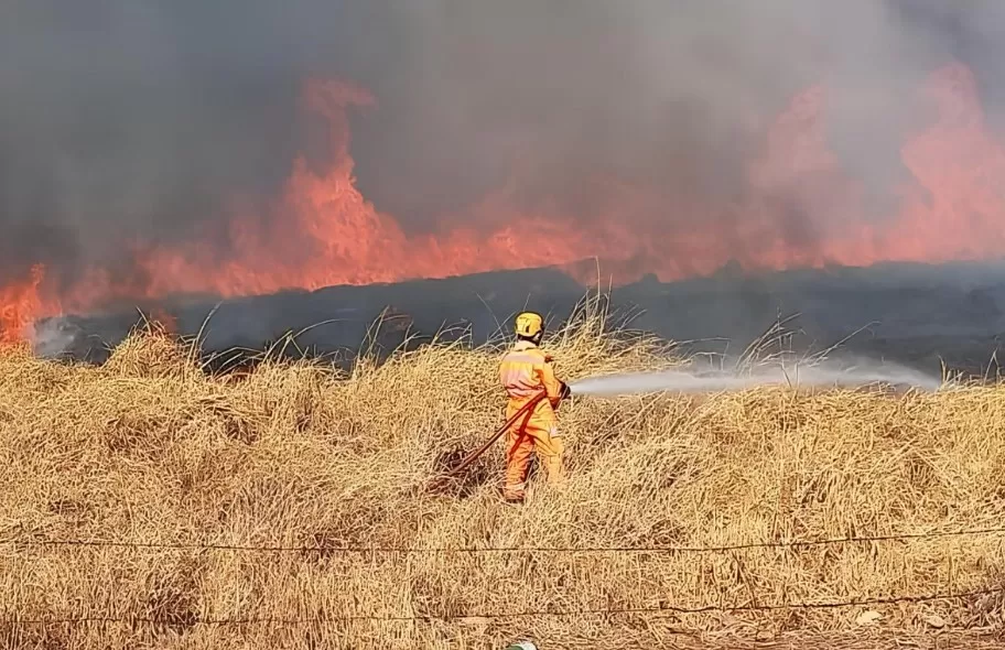 Minas Gerais registra agosto mais destrutivo dos últimos 13 anos com recorde de incêndios