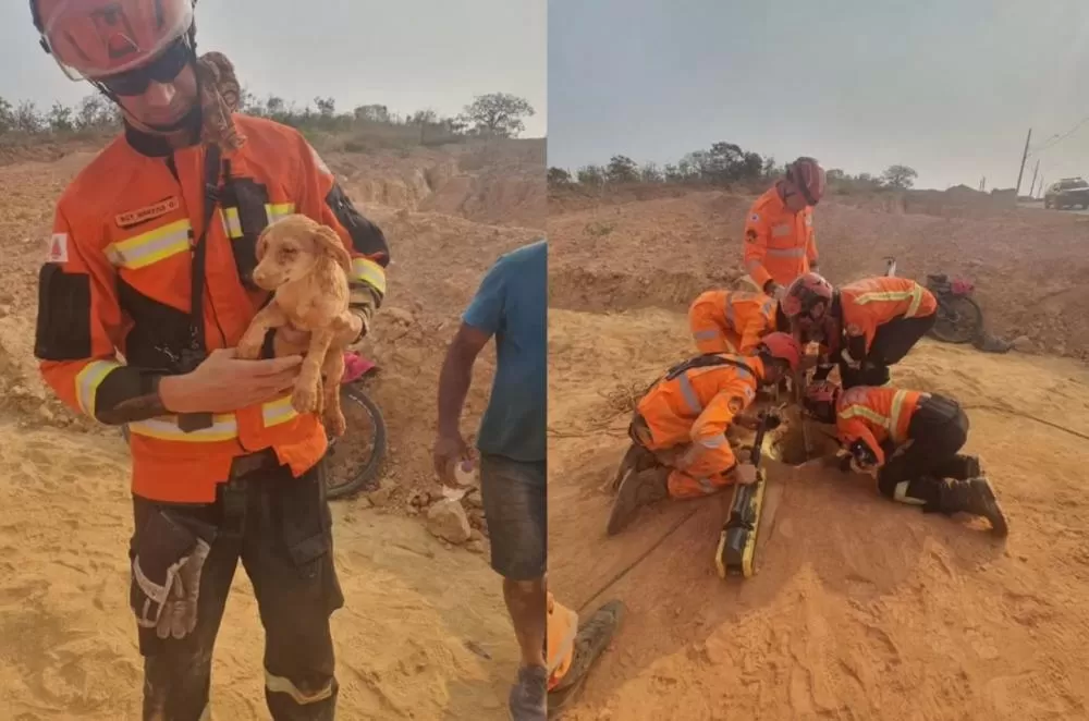 Corpo de Bombeiros resgata filhote de cão de buraco de 10 metros em Lagoa Santa