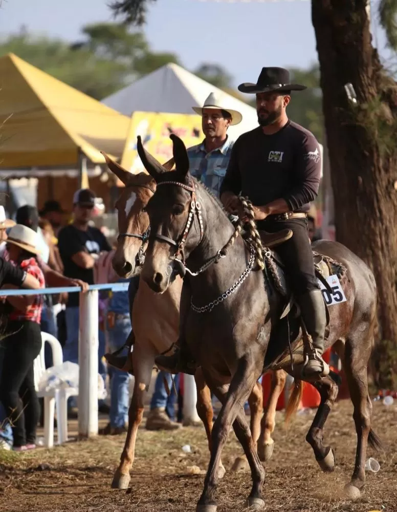 Encontro Nacional de Muladeiros 2024 celebra 25 Anos de tradição em Pedro Leopoldo