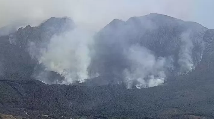 Incêndio devasta área de preservação na Serra do Caraça, ameaçando flora e fauna