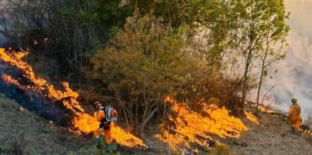 Bombeiros combatem 11 incêndios florestais em Minas Gerais; principais focos seguem ativos