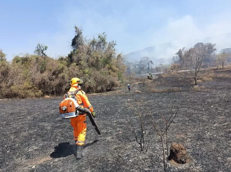 Minas Gerais enfrenta quase 1,3 mil incêndios em 72 horas