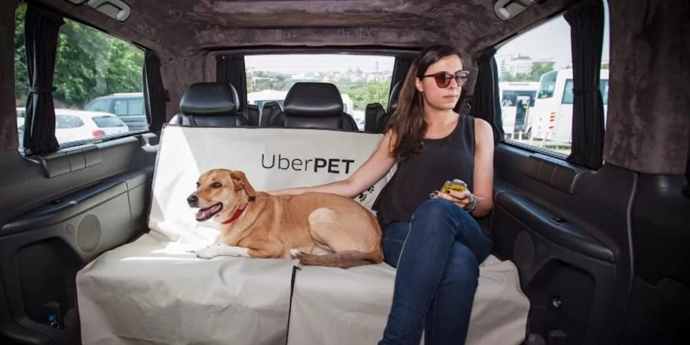 Uber Pet chega a 45 cidades do Brasil com viagens seguras para cães e gatos