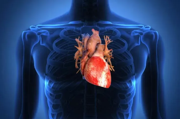 Dia Mundial do Coração: Doenças cardiovasculares matam 400 mil brasileiros por ano