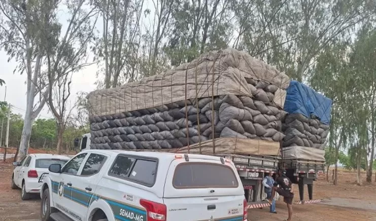 Operação ambiental apreende 420 metros cúbicos de carvão em Sete Lagoas, Matozinhos e Prudente de Morais