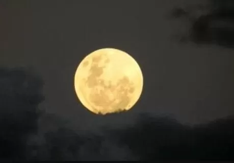 Maior superlua do ano pode ser vista nesta quinta