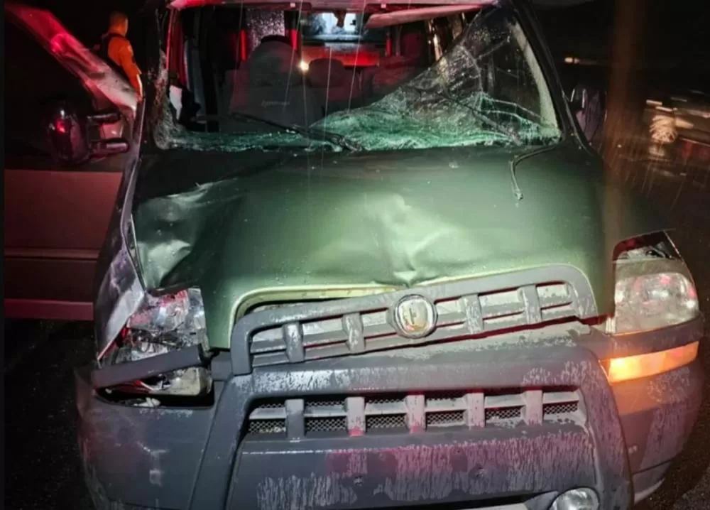 Acidente com cavalo na pista deixa cinco feridos na MG-424, em Vespasiano