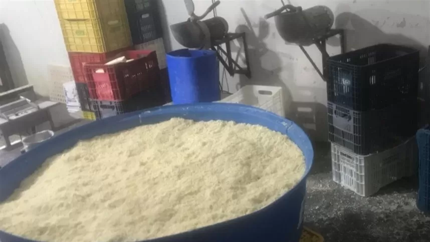 Operação do Ministério da Agricultura apreende 20 toneladas de queijo em Minas Gerais