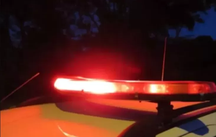 Cavalo solto provoca acidente na MG-424 em Matozinhos