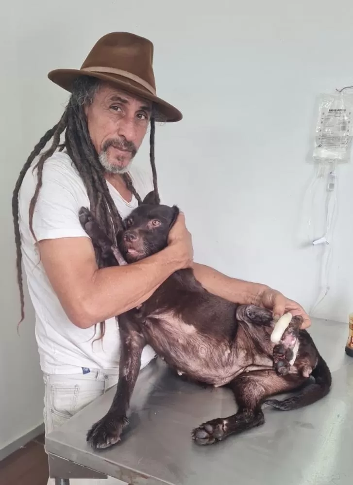 Jacaré ataca cadela em Lagoa Santa e reacende debate sobre riscos à segurança de animais e pessoas