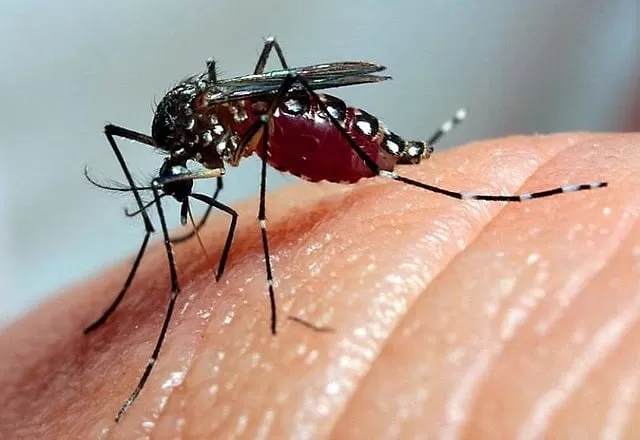 Minas Gerais intensifica ações contra a dengue com a chegada do período chuvoso